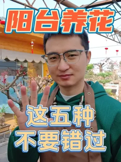 最适合在阳台养的五种花，看看你家里有吗！ #养花  #花卉绿植  #阳台养花