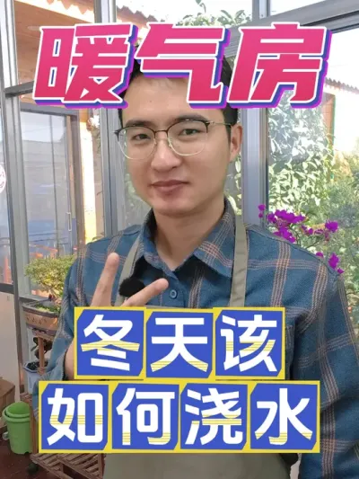 冬天在暖气房养花，该如何正确浇水呢？ #养花 #浇水 #养花小知识
