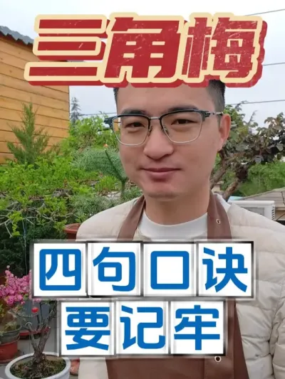 养三角梅，这四句口诀要记牢! #养花  #三角梅  #养花小知识