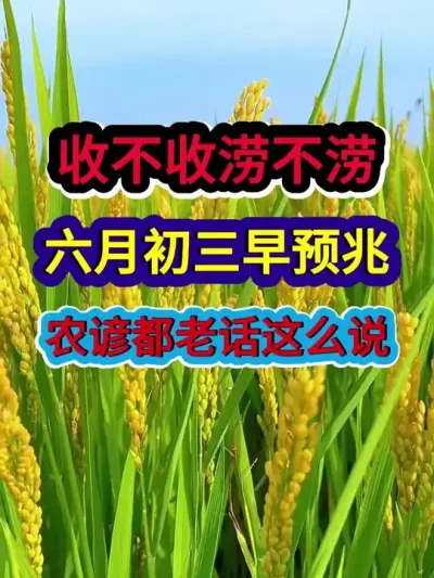 收不收涝不涝六月初三早预兆农谚老话这么说 #农业谚语 #三农 #农谚 #农谚老话 #农业种植