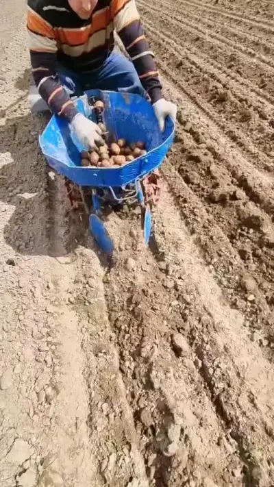 土豆播种机 #马铃薯播种机 #土豆播种机 #土豆种植 #农业机械 #农机视频 @抖音小助手