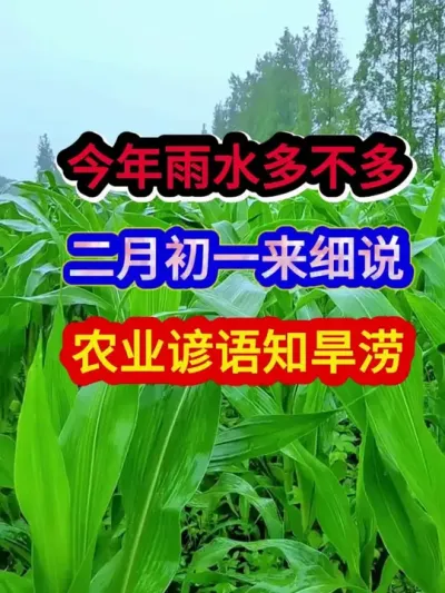今年雨水多不多二月初一来细说农业谚语知旱涝 #农业种植 #农业谚语 #谚语分享 #三农 #分享农业知识帮农民增产增收