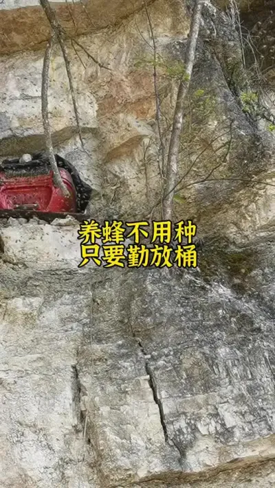 养蜂不用种，勤放诱蜂桶，想要顺利诱到蜜蜂一定要选对蜂蜡#蜂蜡 #诱蜂 #养蜂 #养蜂技术 @抖音小助手
