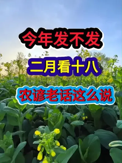 今年发不发二月看十八农谚老话这么说 #农业谚语 #谚语 #谚语俗语 #农业种植 #三农