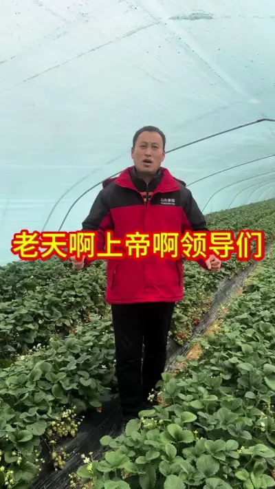 #农民如何增收 #农民如何活下去