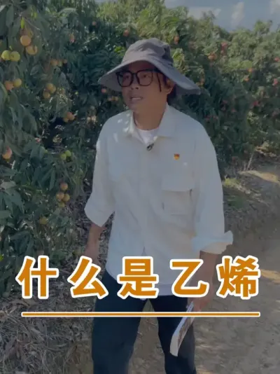知道什么是乙烯吗？#广西灵山荔枝果苗#农业创业#抖音新农人计划2025#吕老师种果苗#荔枝种植管理技术@吕老师