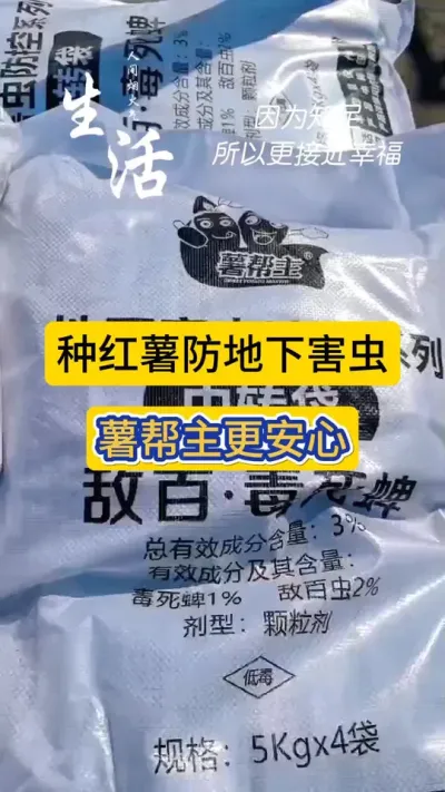 种红薯防地下害虫，薯帮主地下害虫颗粒剂更安心！#红薯种植 #地下害虫防治 #服务三农支持三农 #地下害虫颗粒剂