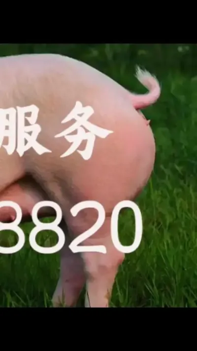 #养猪技术小知识 #农村养猪专业户 #所有养猪人 #养猪人不容易 #服务三农支持三农