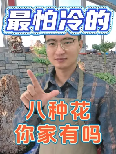 最怕冷的八种花，你知道是哪些吗？ #养花  #花卉绿植  #养花小知识