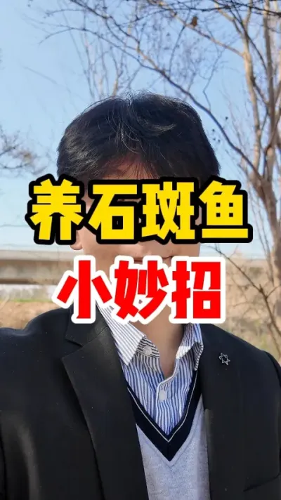 养石斑鱼小妙招 #石斑鱼 #水族