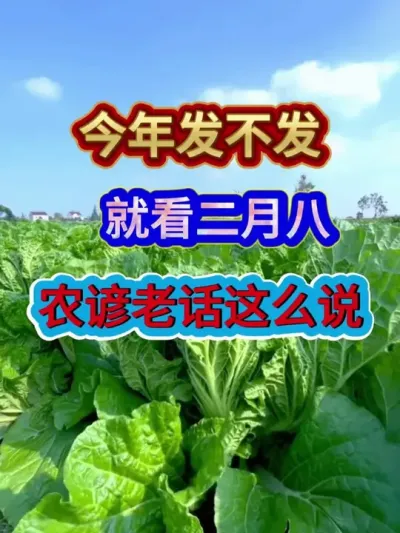 今年发不发就看二月八农谚老话这么说 #农业谚语 #农谚 #谚语俗语 #谚语分享 #农业种植