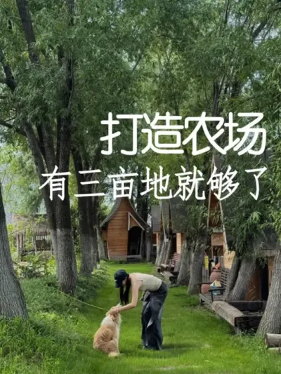 用三亩地打造挣钱的小型农场 #小院改造#农场 #氛围感 #网红打卡地 #天雅设计