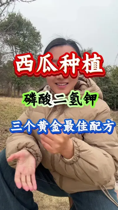 西瓜种植 磷酸二氢钾三个最佳黄金配方#西瓜种植#西瓜管理#西瓜高产#农业种植