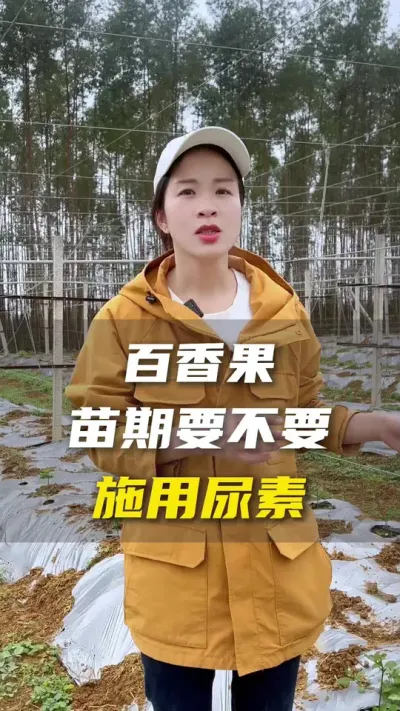 尿素虽好可不要乱用哦！#百香果种植技术#百香果#三农