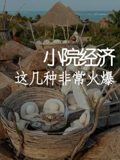 这几种小院模式，轻松吸引年轻人！ #小院改造 #小院时光 #氛围感 #网红打卡地 #天雅设计