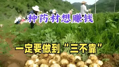 种药材想赚钱，一定要做到&ldquo;三不靠&rdquo;，你也能赚大钱，建议收藏 #药材种植 #药材种植技术 #三农 #农业知识 #抖音助农