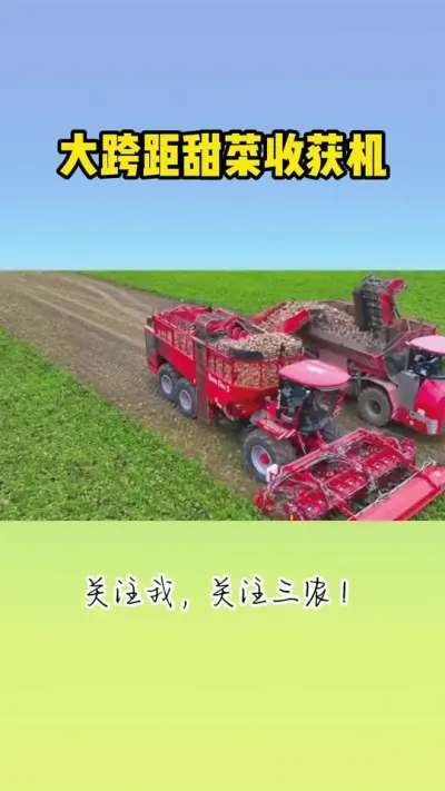 大跨距甜菜收获机 #现代农业机械 #甜菜收获机 #甜菜种植