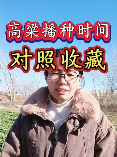 高粱播种时间您知道吗？高粱在几月份播种？高粱什么时候播种？#高粱播种时间 #高粱种植 #三农 #农业 #高粱