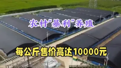 农村暴利养殖，每克成本5元，10000元1公斤，全身都是宝 #三农 #农村创业 #农业种植致富项目 #林蛙养殖