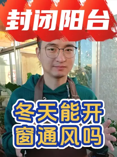 冬天阳台养花，能开窗通风吗？ #养花 #阳台养花 #养花小知识