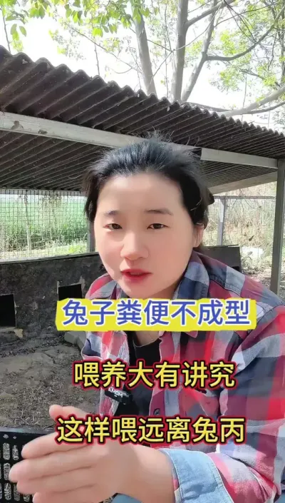 兔子拉稀，干吃不长，喂养有方法，这样喂，远离粪便不成型#兔子 #养兔人 #养兔 #肉兔养殖 #兔子养殖