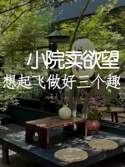 小院经济就是一个巨大的风口！ #小院改造 #小院时光 #氛围感 #网红打卡地 #天雅设计