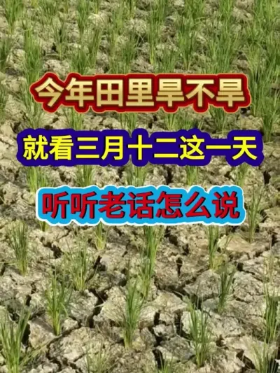 今年田里旱不旱就看三月十二这一天听听农谚怎么说 #农业谚语 #谚语 #农业种植 #三农 #分享农业知识帮农民增产增收