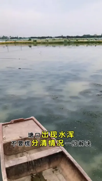 塘口出现水浑不要慌，分清情况一招解决。#螃蟹养殖 #鱼虾蟹养殖 #河蟹养殖 #三农 #粪净肽 @DOU+小助手