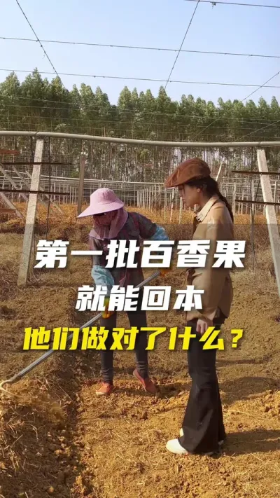 三人行，必有我师焉，农业种植也一样，虚心向优秀的同行学习。学到的东西必须要自己实践才知道有没有效果。#百香果 #农业种植 #抖音助农
