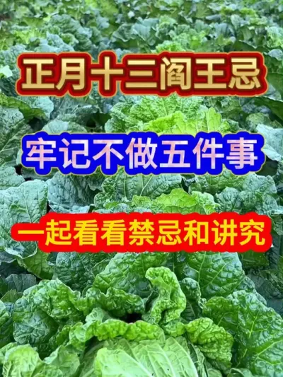 正月十三阎王忌牢记不做五件事一起看看禁忌和讲究 #三农 #祝大家新的一年好运连连 #红红火火迎元宵节 #种菜 #种植小技巧
