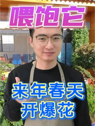 冬天养花一定要喂饱它! #养花 #冬肥 #羊粪有机肥