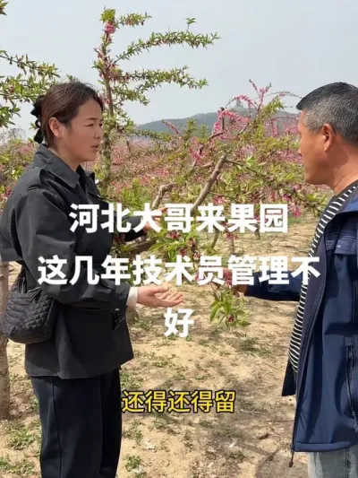 #传播农业小知识 #分享农业知识帮农民增产增收 #果树管理技术
