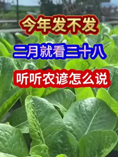 今年发不发二月就看二十八听听农谚怎么说 #农业谚语 #农谚 #农业种植 #三农 #分享农业知识帮农民增产增收