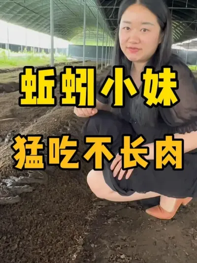 蚯蚓猛吃不长肉，食物营养没达标#蚯蚓养殖 #三农 #农村创业
