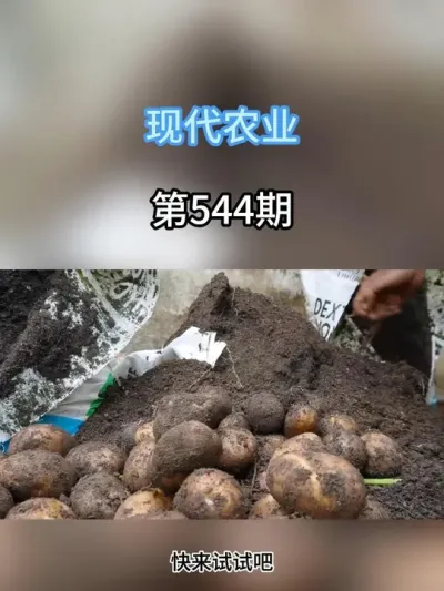 只需要一个塑料袋，就可以在家里种出土豆 #农业种植 #春耕进行时 #抖音助农 #新农人计划 #种植小技巧