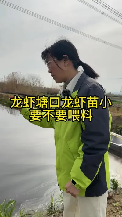龙虾塘口龙虾苗小要不要喂料！！！ #渔多多养殖模式 #大闸蟹养殖 #水产养殖 #三农 #河蟹养殖