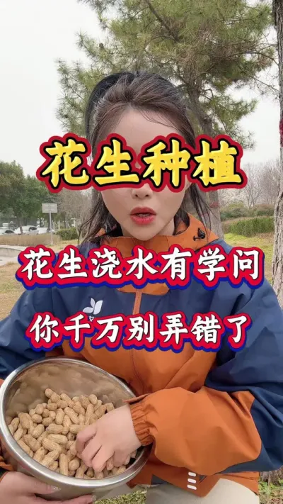 花生浇水有学问，浇对产量翻倍，浇错努力白费。花生种植的几个关键节点及注意事项。#花生种植 #三农 #分享农业知识帮农民增产增收 #抖音助农 #花生种植管理技术
