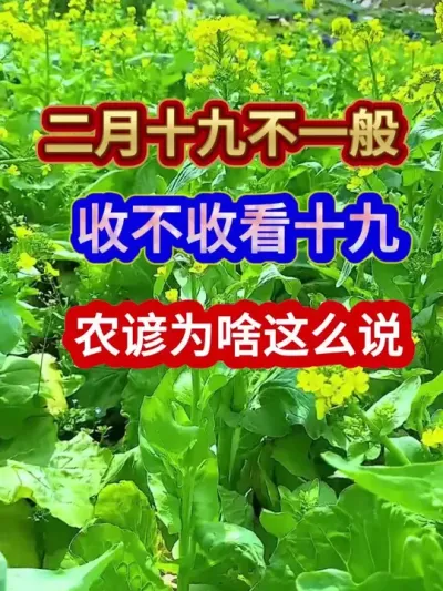 二月十九不一般收不收看十九农谚为啥这么说 #农业谚语 #农谚 #谚语 #农业种植 #分享农业知识帮农民增产增收