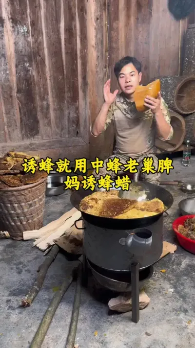 诱蜂就用中蜂老巢脾诱蜂蜡，这样才能更快来蜜蜂#蜂蜡 #养蜂 #诱蜂 @抖音小助手