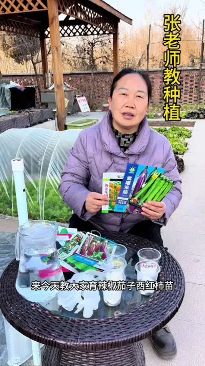 天气慢慢变暖，辣椒茄子西红柿又开始育苗了#每天分享蔬菜种植技巧 #关注我一起学种菜 #种菜小技巧 #关注我每天分享种植知识