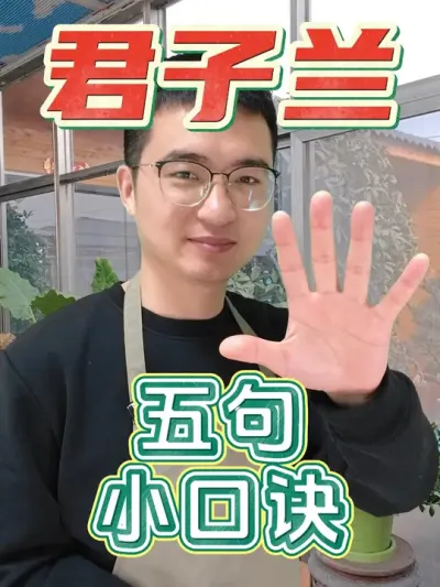 养君子兰，学会这五句小口诀！ #养花  #君子兰  #养花小知识