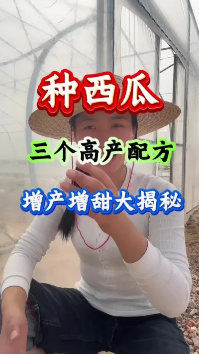 西瓜种植 种西瓜三个高产配方增产增甜大揭秘 #西瓜种植 #种西瓜 #西瓜高产 #西瓜管理