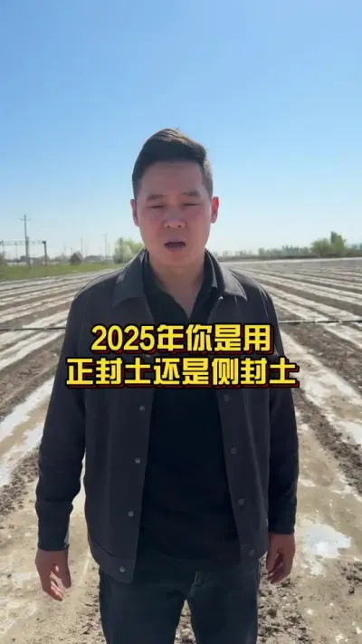 2025年你是用的正封土还是侧封土？ #棉花种植技术 #棉花种植专家讲座 #关注我每天分享种植小妙招 @抖音小助手