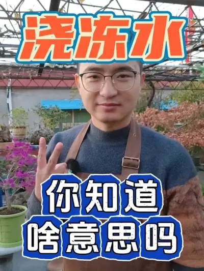 浇冻水，你知道是什么意思吗？ #养花 #浇冻水 #养花小知识