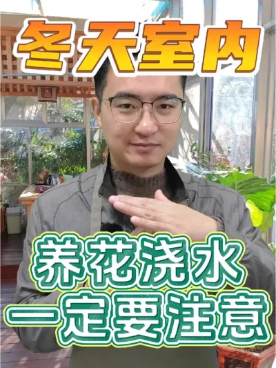 冬天室内养花，为什么容易烂根？ #养花 #防根腐 #防烂根