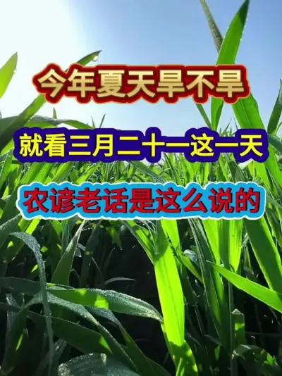 今年夏天旱不旱就看三月二十一这一天农谚老话是这么说的 #农业谚语 #农谚老话 #农业种植 #三农 #分享农业知识帮农民增产增收