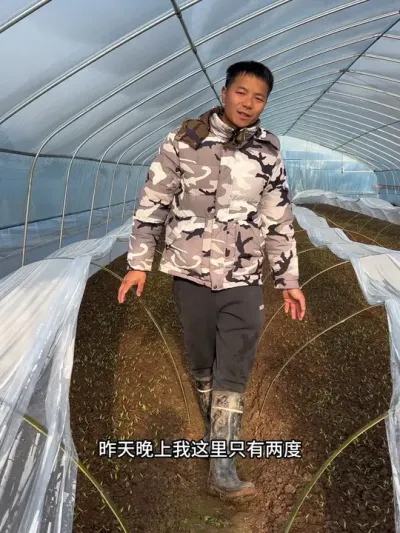 每天都会记录我在老家的种植情况，希望对以后和你们有所帮助！#记录我的种植生活 #返乡创业新农人