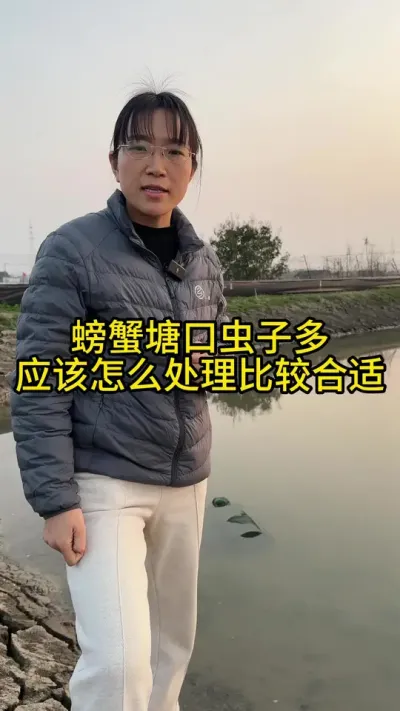 螃蟹塘口虫子多，应该怎么处理比较合适！！！ #渔多多养殖模式 #大闸蟹养殖 #河蟹养殖 #三农 #水产养殖