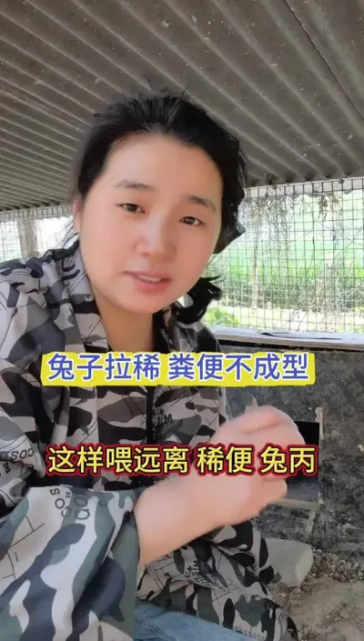 兔子拉稀，粪便不成型，学会方法事半功倍！#养兔 #兔子 #肉兔 #兔子养殖 #养兔人