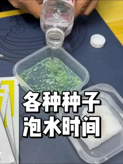 种子播种前泡水多少时间比较好 